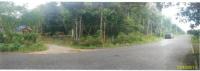 ขายบ้านเดี่ยว