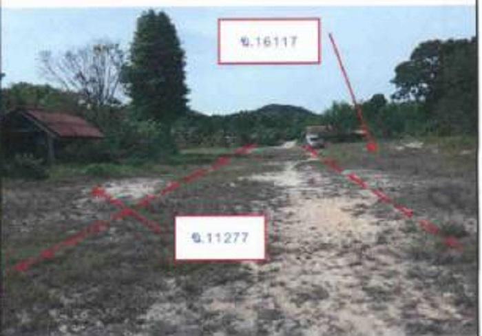 313  แม่ขรี ตะโหมด พัทลุง