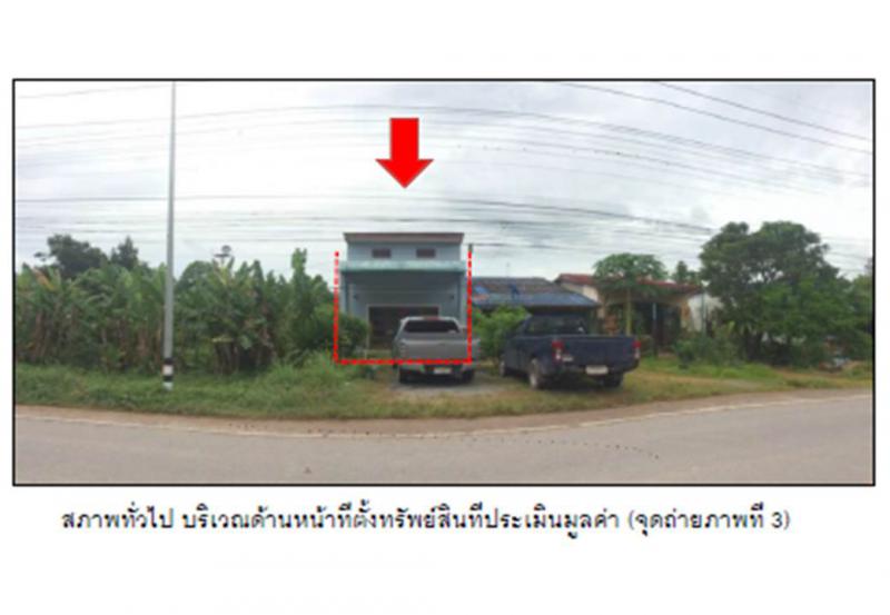 ท่ามะเดื่อ บางแก้ว พัทลุง