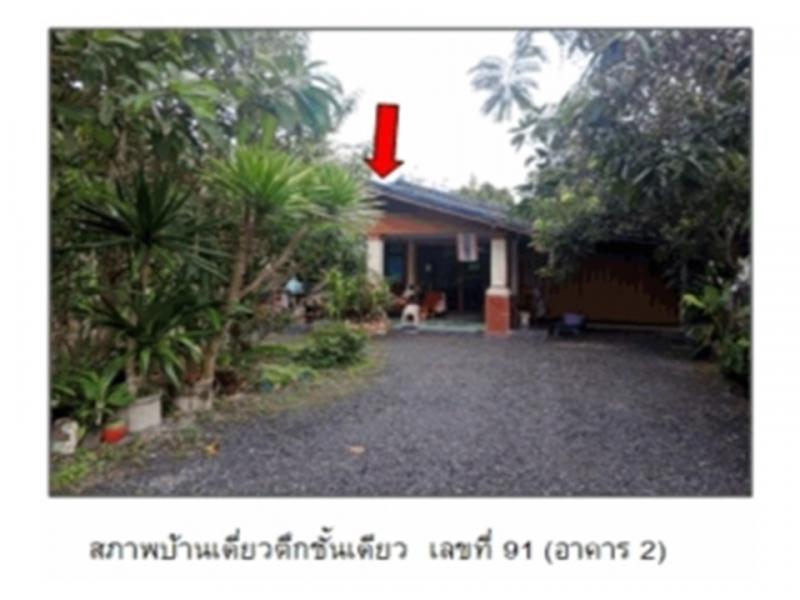 โคกชะงาย เมืองพัทลุง พัทลุง