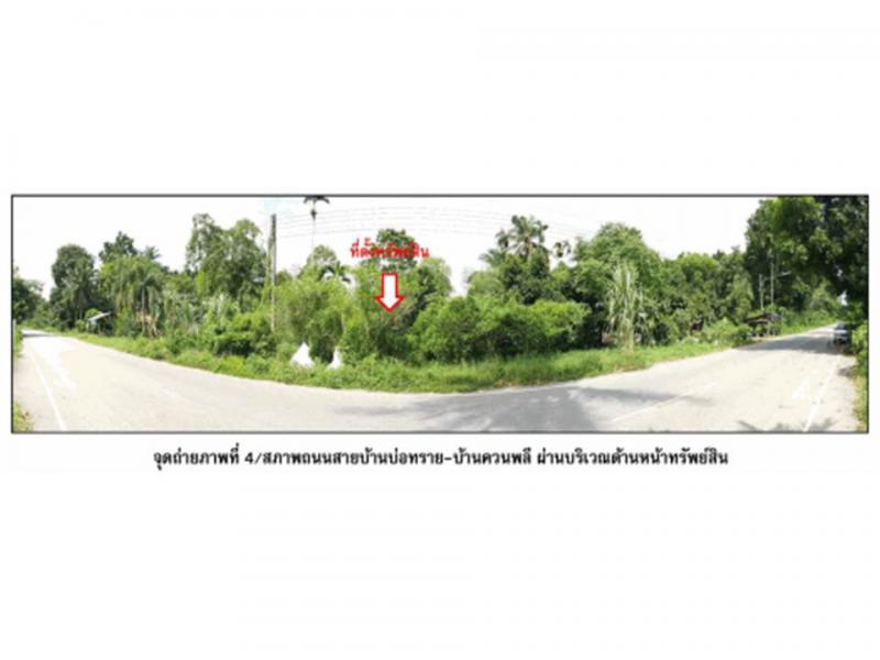 บ้านพร้าว ป่าพะยอม พัทลุง