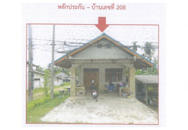 ปากพะยูน ปากพะยูน พัทลุง