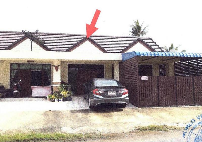 ท่ามะเดื่อ บางแก้ว พัทลุง