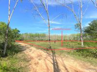 ขายที่ดินว่างเปล่า