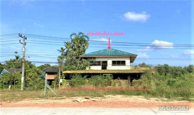 ป่าบอน ป่าบอน พัทลุง